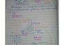 create professional, handwritten study notes and documents